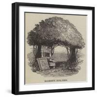 Raleigh's Yew Tree-null-Framed Giclee Print