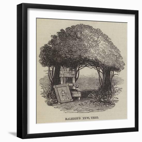 Raleigh's Yew Tree-null-Framed Giclee Print