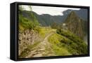 Framed Canvas