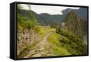 Canvas Black