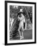 RALLY' ROUND THE FLAG, BOYS !, 1959 directed by LEO McCAREY Joan Collins (b/w photo)-null-Framed Photo