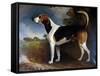 Rallywood, 1850-John E. Ferneley-Framed Stretched Canvas