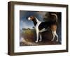 Rallywood, 1850-John E. Ferneley-Framed Giclee Print