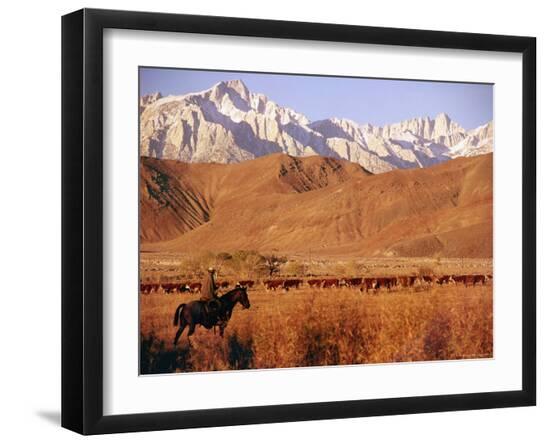 Premium Photographic Print, , large