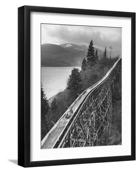 Premium Photographic Print, , large