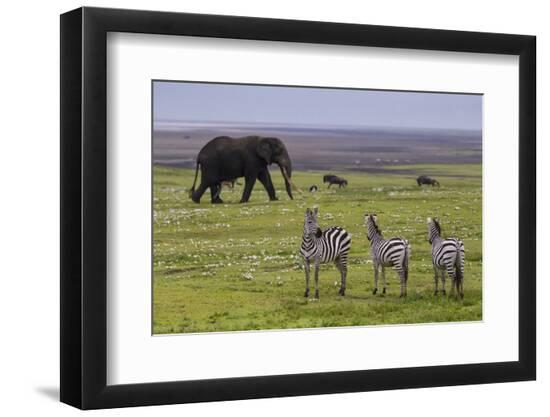 Premium Photographic Print, , large