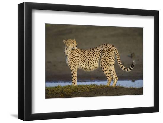 Photographic Print, , large