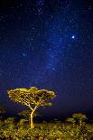 Africa. Tanzania. The Milky Way illuminate the night sky at Ndutu in Serengeti National Park.-Ralph H. Bendjebar-Photographic Print