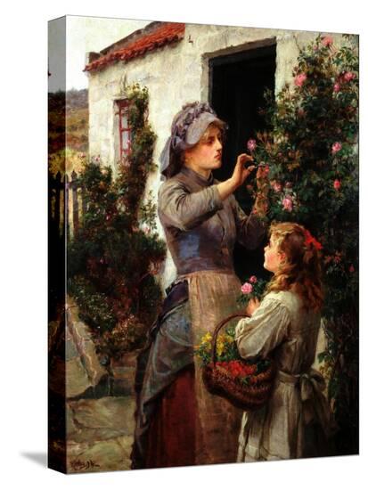 Stretched Canvas Print, , large