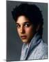 Ralph Macchio - The Karate Kid-null-Mounted Photo