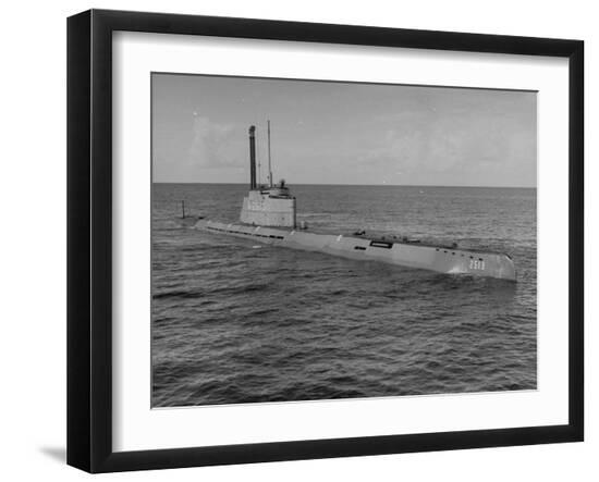 Premium Photographic Print, , large
