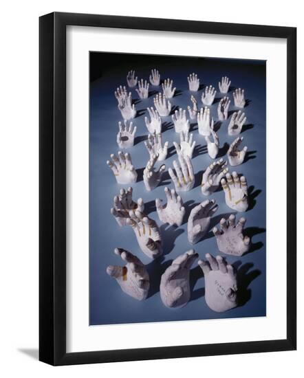 Photographic Print, , large
