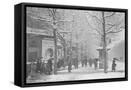 Framed Canvas