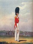 Officer, Grenadier Guards, 19th Century (1909)-Ralph Nevill-Stretched Canvas