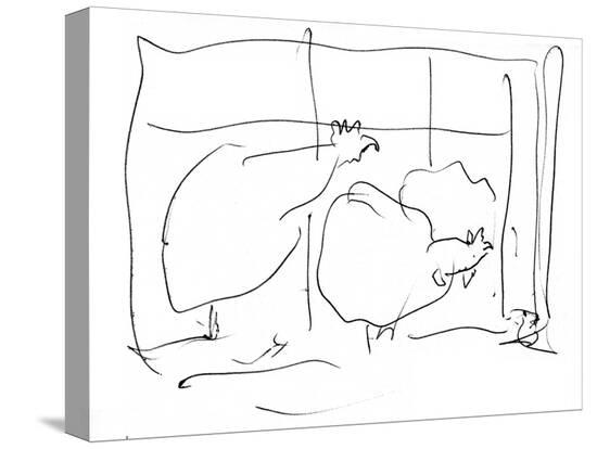 Stretched Canvas Print, , large