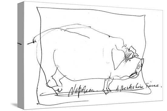 Stretched Canvas Print, , large