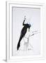 Gramercy White