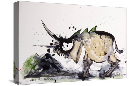 Stretched Canvas Print, , large