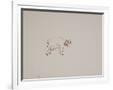 Gramercy White