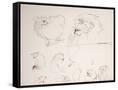 Canvas Black