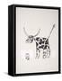 Framed Canvas