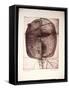 Framed Canvas