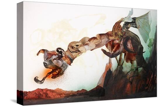 Stretched Canvas Print, , large