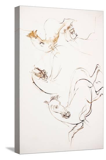 Stretched Canvas Print, , large