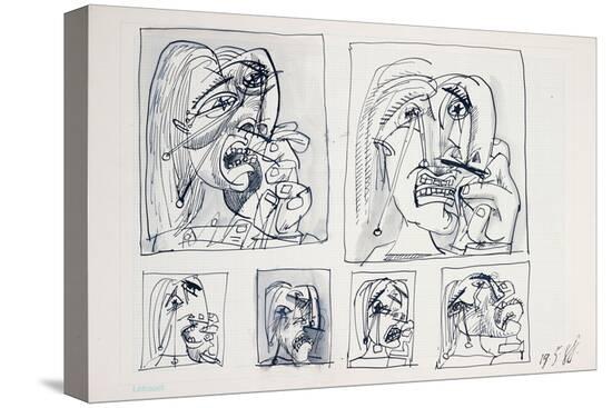Stretched Canvas Print, , large
