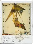 PICASSO POLAROIDS & TRAVEL TRANSPARENCIES (drawing)-Ralph Steadman-Giclee Print