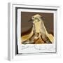White Frame
