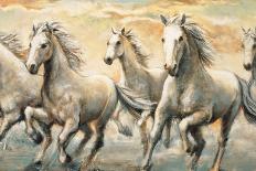 Wild Horses-Ralph Steele-Stretched Canvas