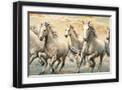 Black Frame
