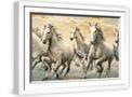 White Frame