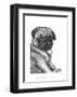 Ralph the Pug-Beth Thomas-Framed Art Print