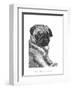 Ralph the Pug-Beth Thomas-Framed Art Print