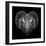 Ram Head Black Mesh-Lisa Kroll-Framed Premium Giclee Print