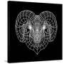 Ram Head Black Mesh-Lisa Kroll-Stretched Canvas