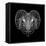 Ram Head Black Mesh-Lisa Kroll-Framed Stretched Canvas