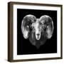 Ram Head-Lisa Kroll-Framed Premium Giclee Print