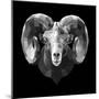 Ram Head-Lisa Kroll-Mounted Premium Giclee Print