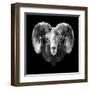 Ram Head-Lisa Kroll-Framed Art Print