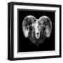 Ram Head-Lisa Kroll-Framed Art Print