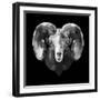 Ram Head-Lisa Kroll-Framed Art Print