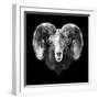 Ram Head-Lisa Kroll-Framed Art Print