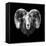 Ram Head-Lisa Kroll-Framed Stretched Canvas