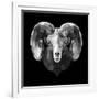 Ram Head-Lisa Kroll-Framed Art Print