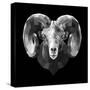 Ram Head-Lisa Kroll-Stretched Canvas