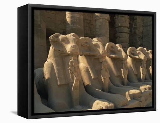 Ram-Headed Sphinxes of the Processional Avenue, at the Temple of Karnak, Thebes, Egypt-Richardson Rolf-Framed Stretched Canvas