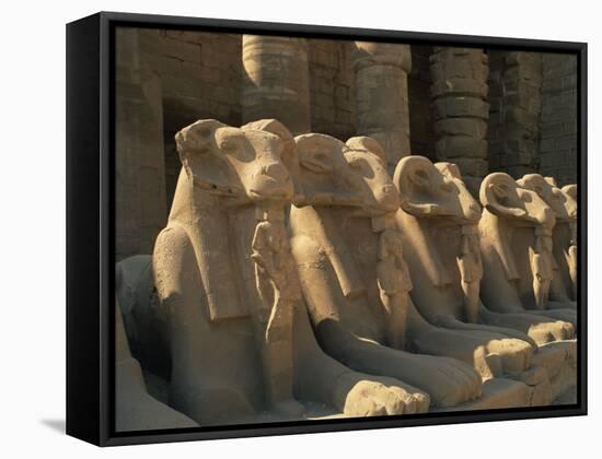 Ram-Headed Sphinxes of the Processional Avenue, at the Temple of Karnak, Thebes, Egypt-Richardson Rolf-Framed Stretched Canvas